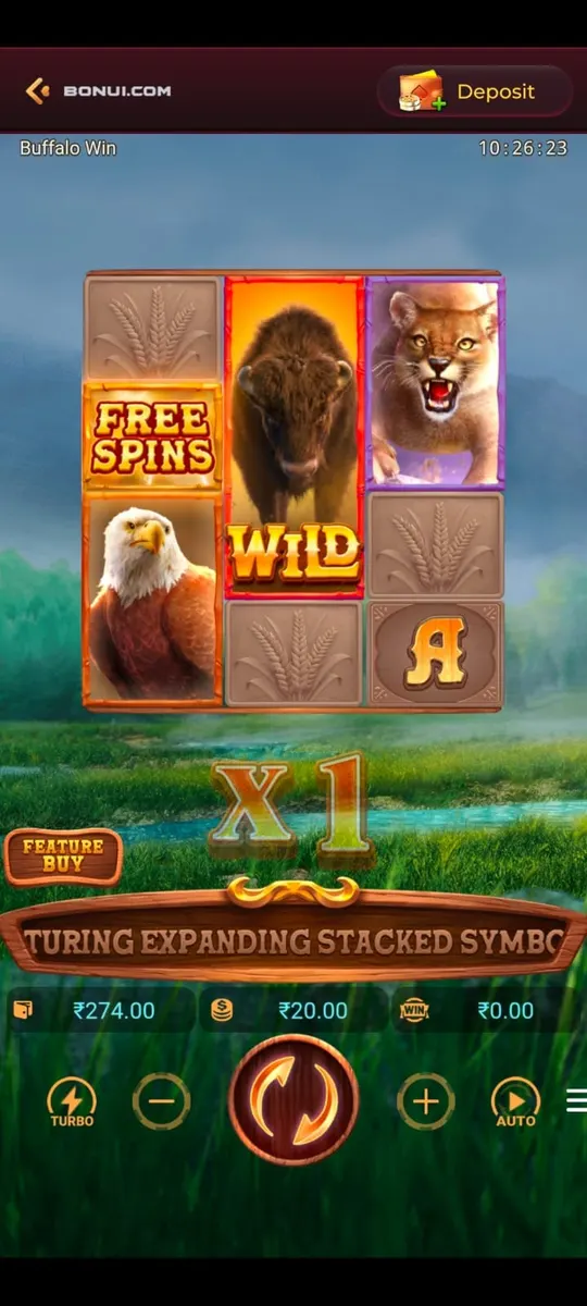 BONU1 Buffalo Win game screen